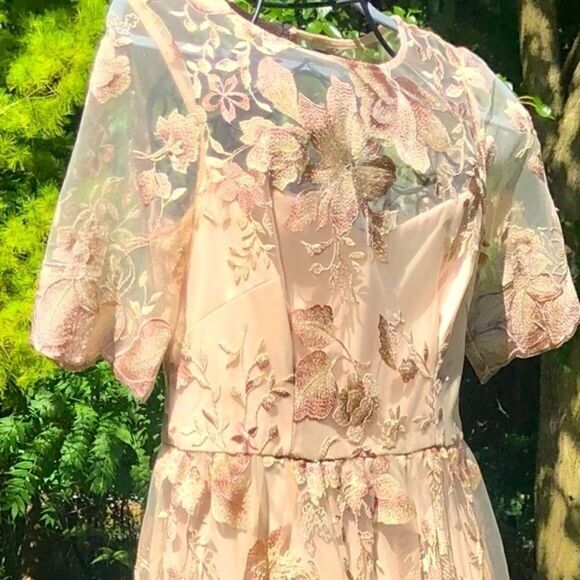 ADRIANNA PAPELL ROSE QUART LONG ILLUSION MESH DRESS 8 NWT - Picture 6 of 16